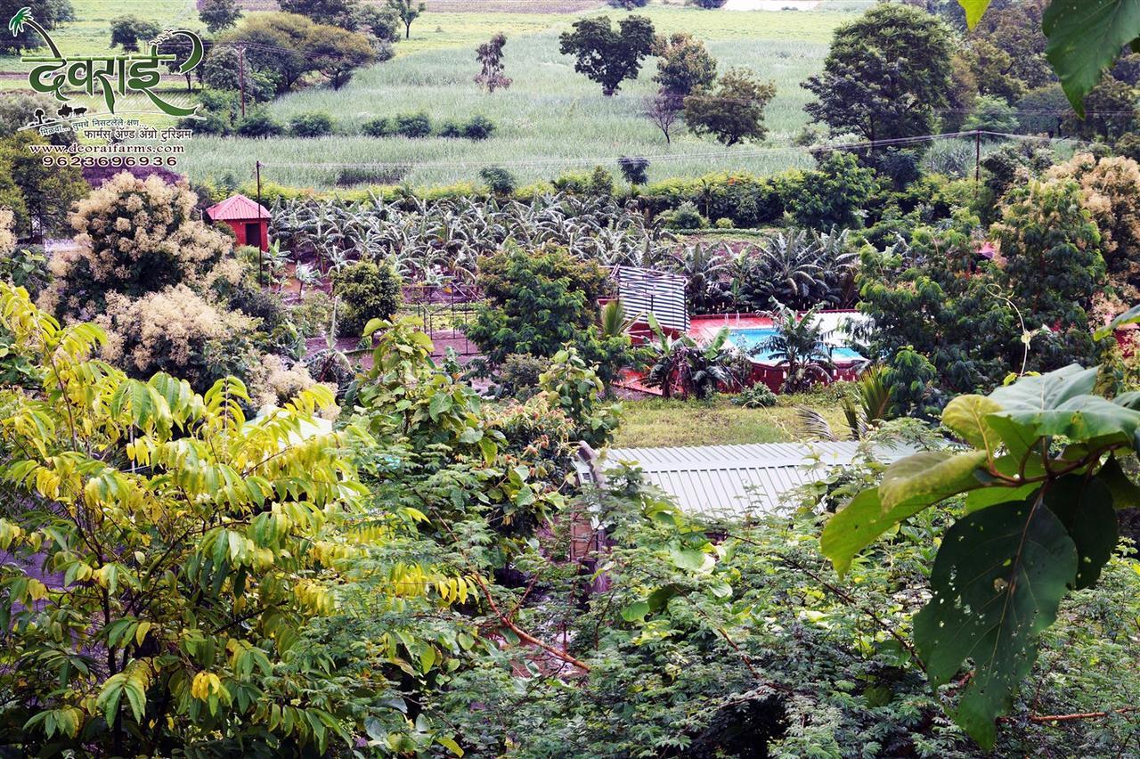 Deorai Farms And Agro Resort Púna Kültér fotó